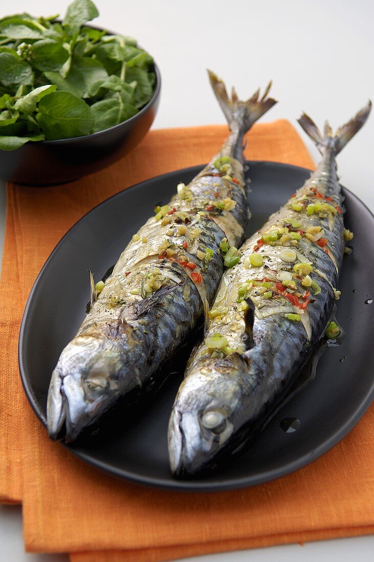 Grilled mackerel with chilli and spring onions