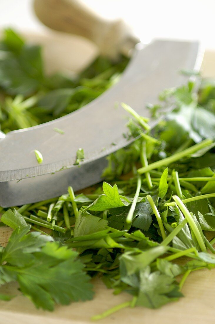 Flat leaf parsley with mezzaluna (curved chopping knife)
