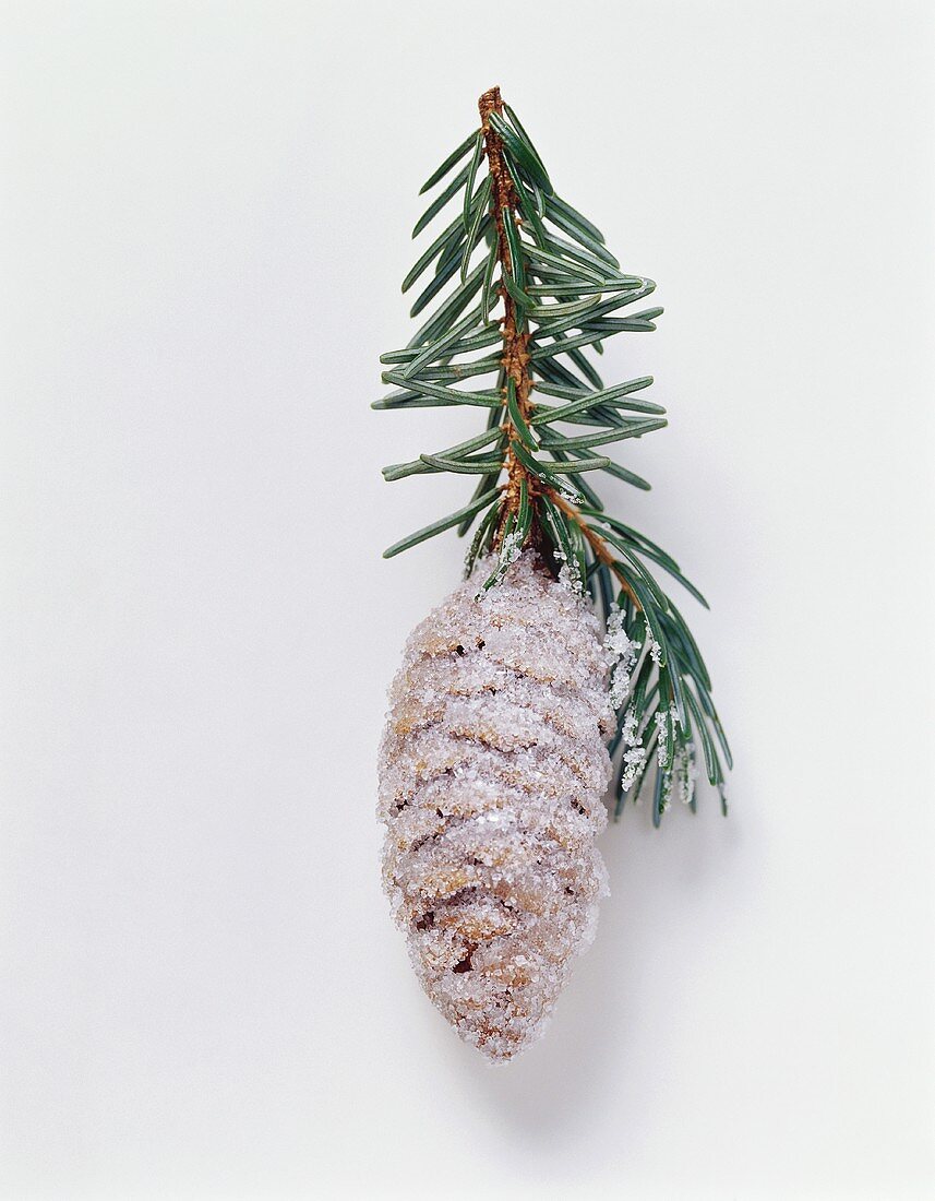 Christmas decoration: sugar-coated cone