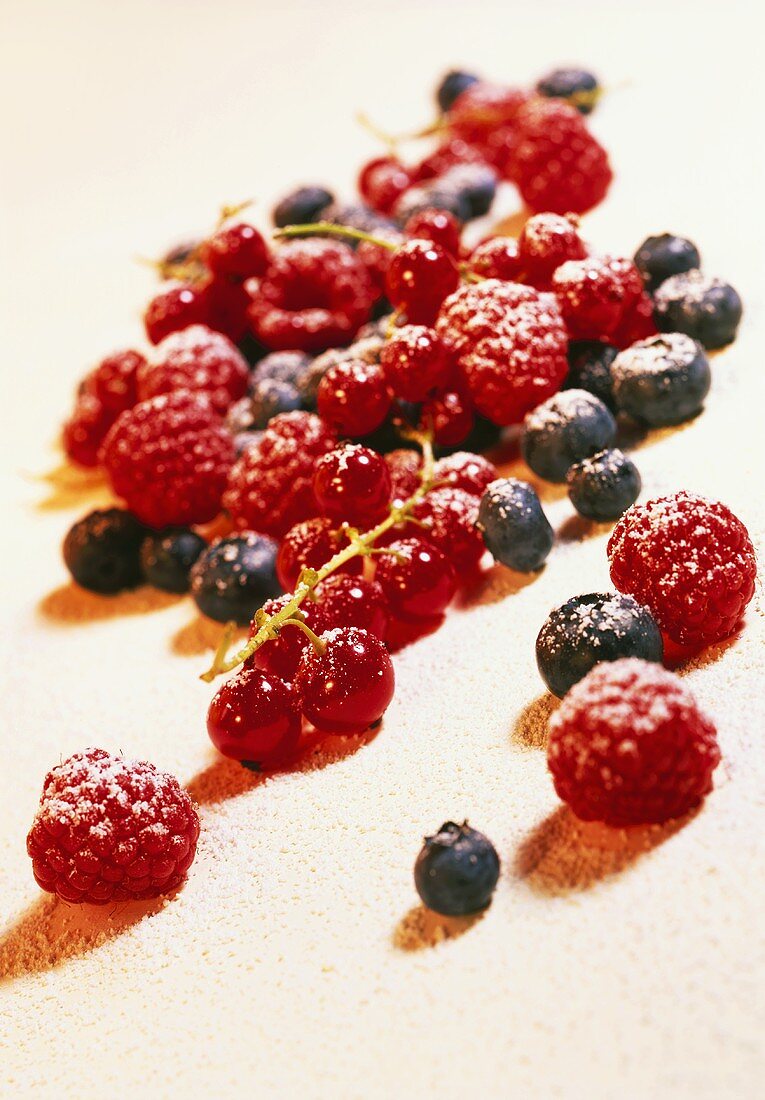 Fresh berries with icing sugar