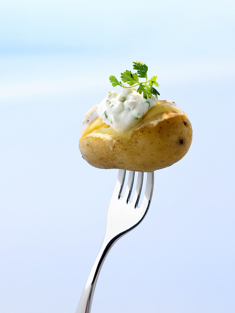 Potato cooked in its skin with herb quark on fork