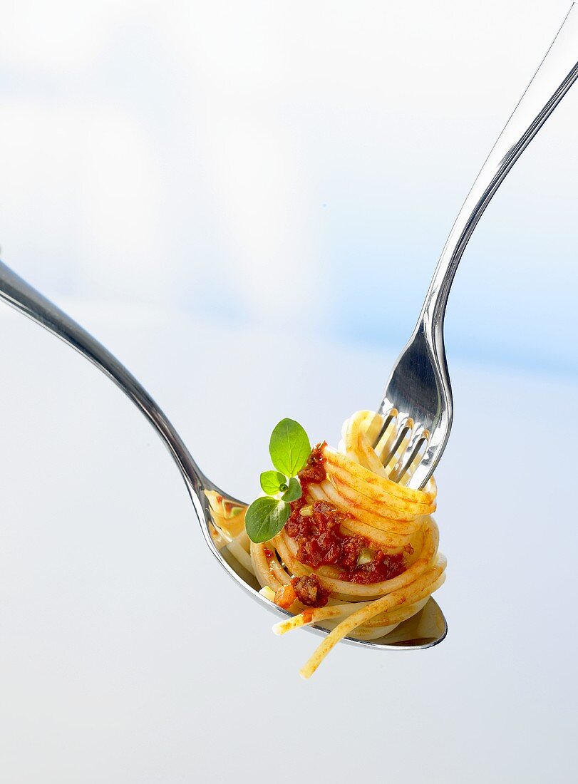 Spaghetti bolognese on spoon and fork