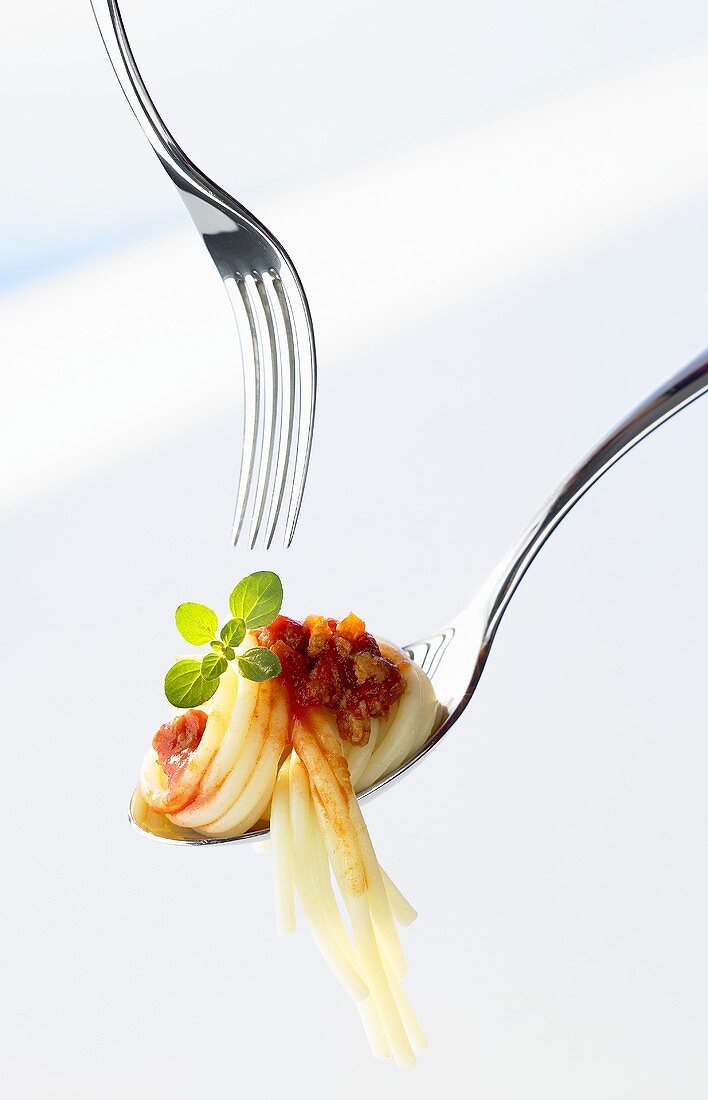 Spaghetti Bolognese mit zwei Gabeln