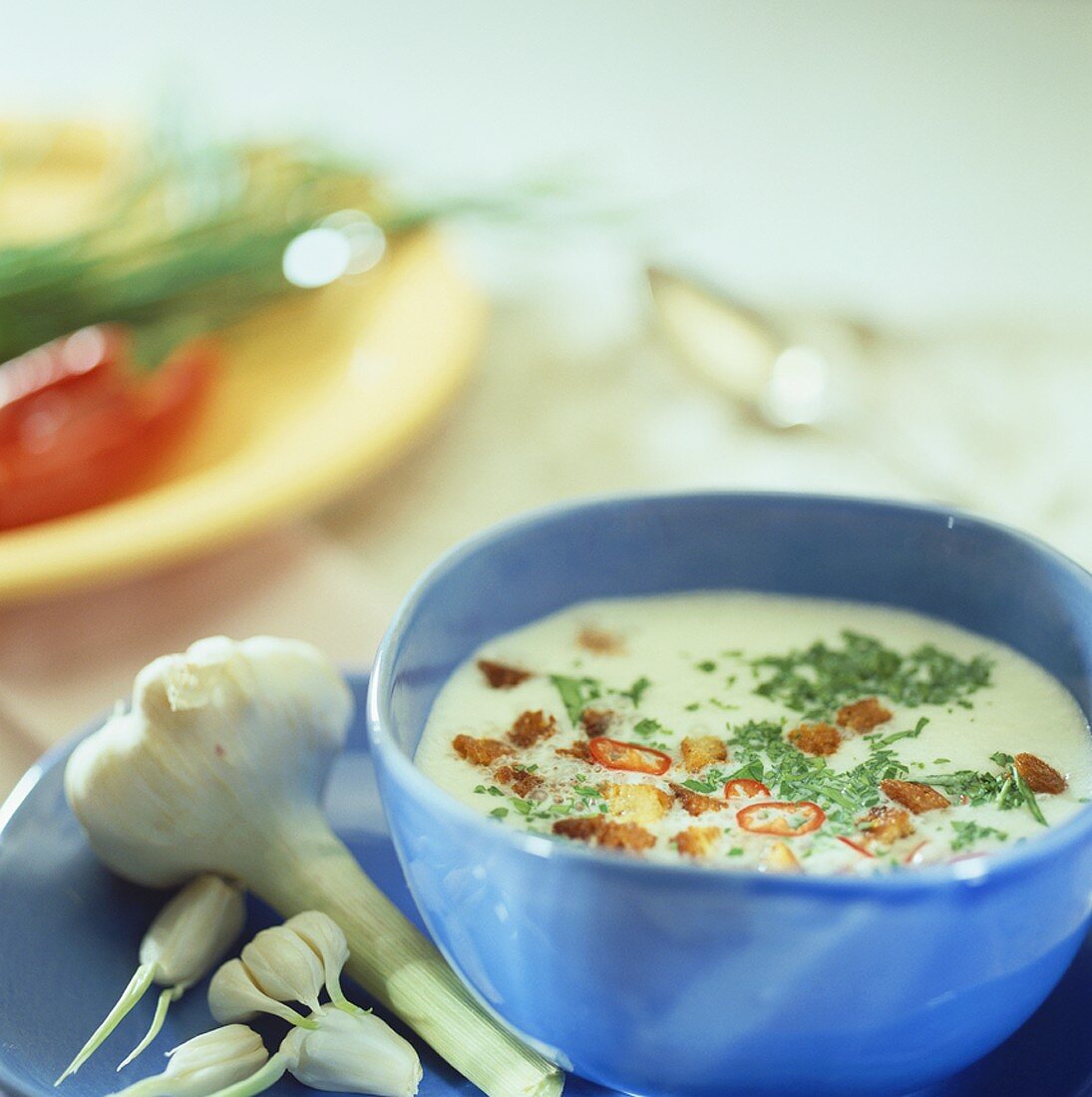 Garlic soup with croutons, chilli and herbs