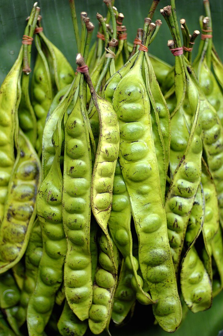 Stinkbohnen (Thailand)