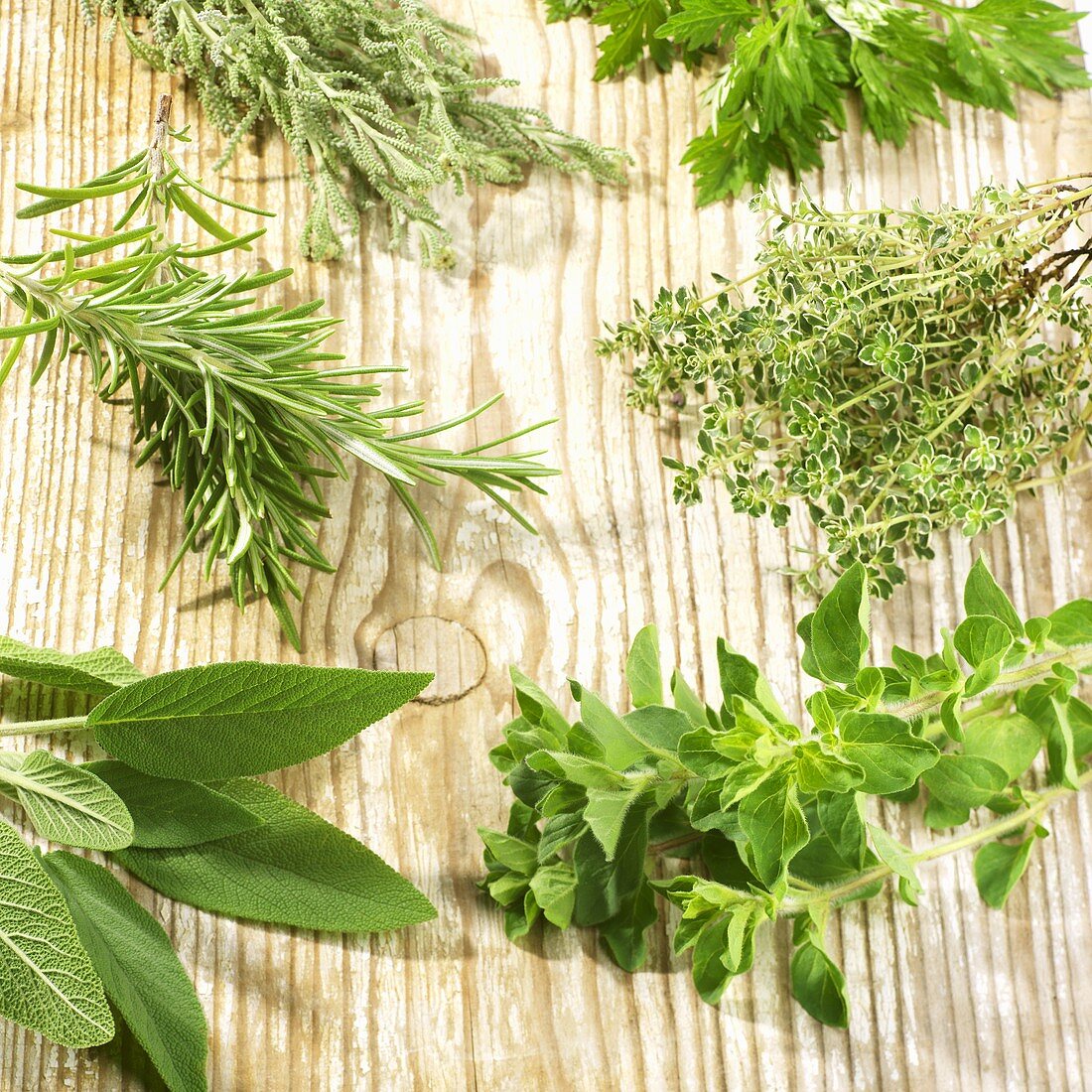 A selection of fresh herbs on wooden background