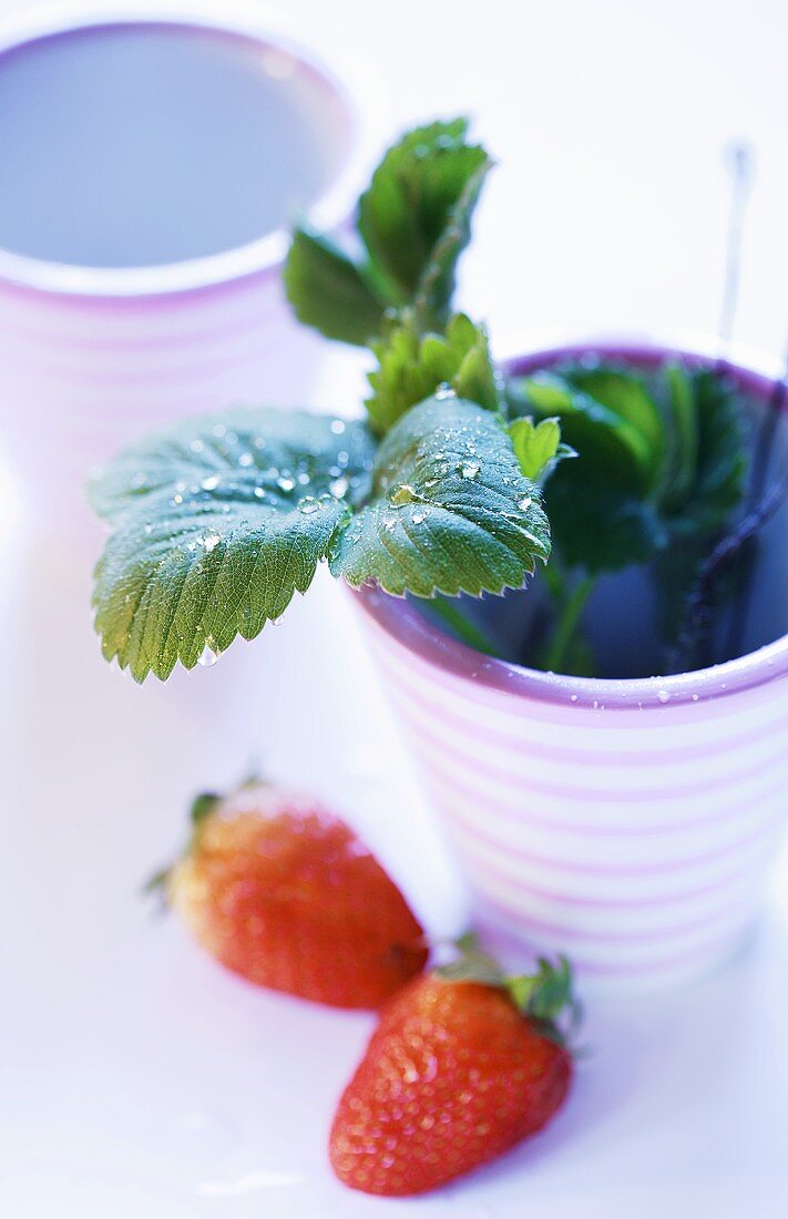 Two strawberries and strawberry leaves