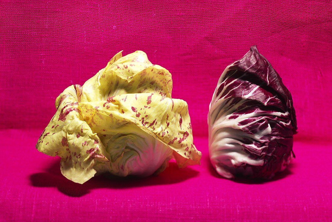 Radicchio di Chioggia and radicchio