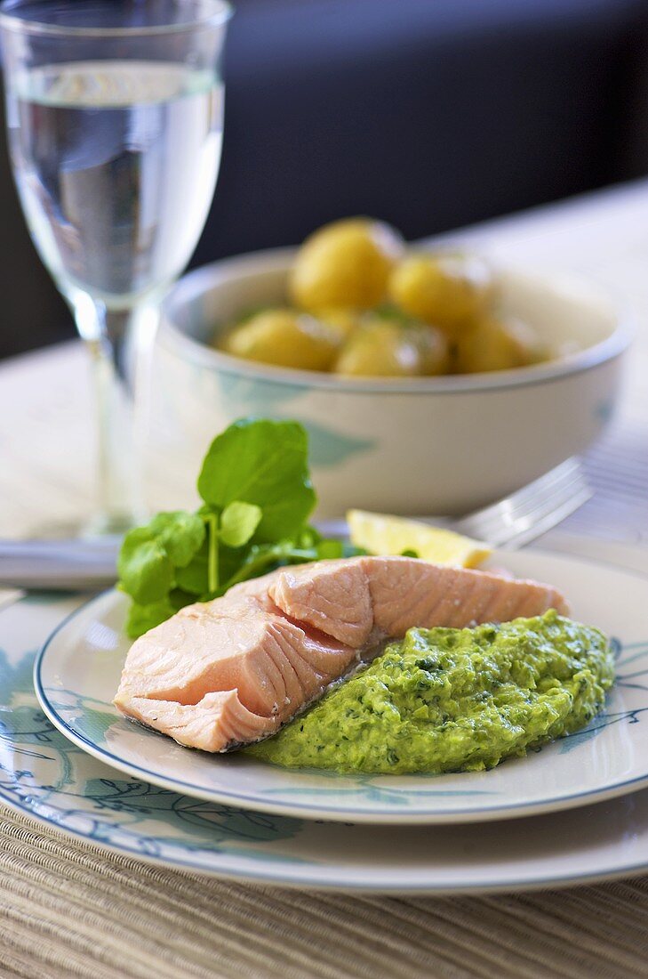 Steamed salmon on creamed savoy cabbage with herbs