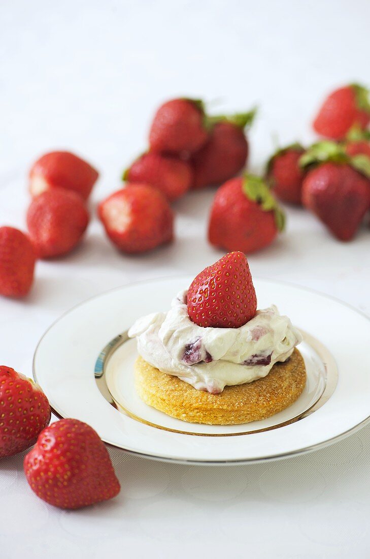 Shortbread with yoghurt cream and strawberries