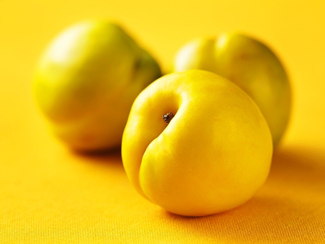 Three yellow mango nectarines