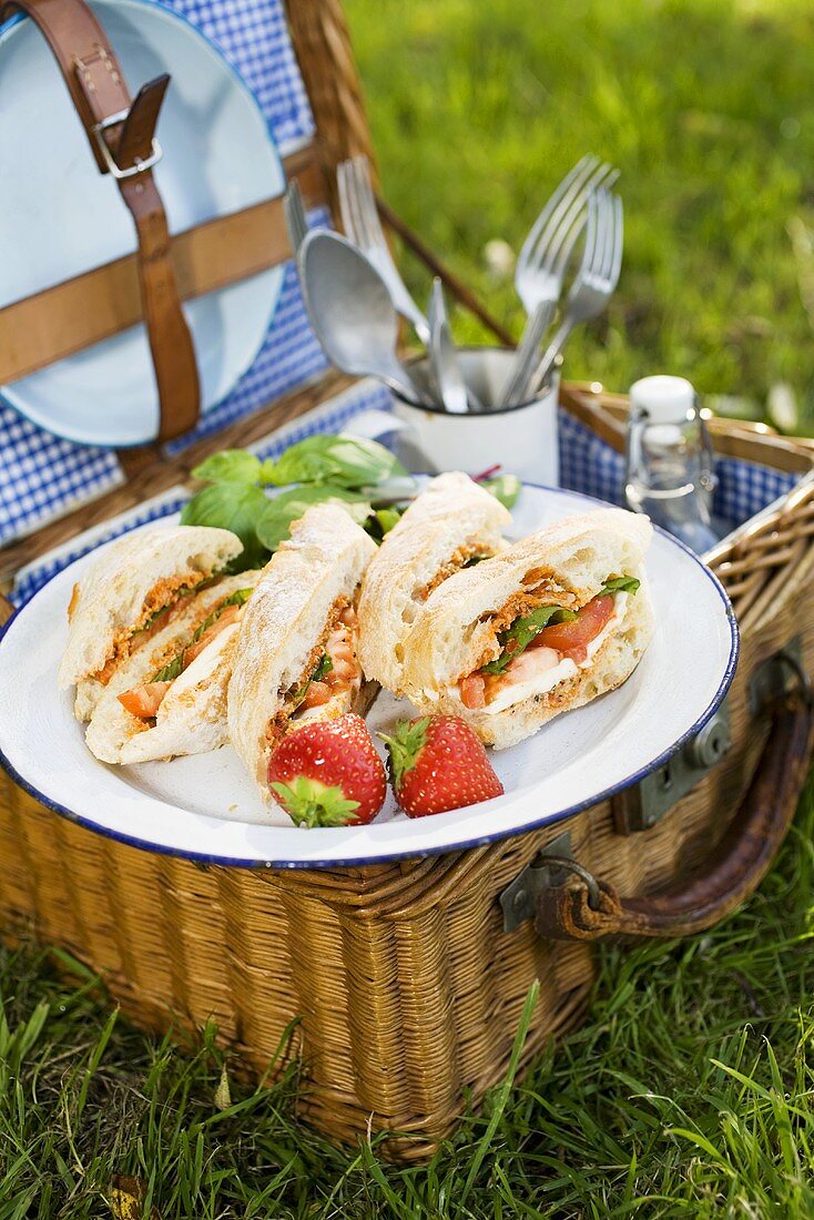 Ciabatta-Sandwiches auf Picknickkorb