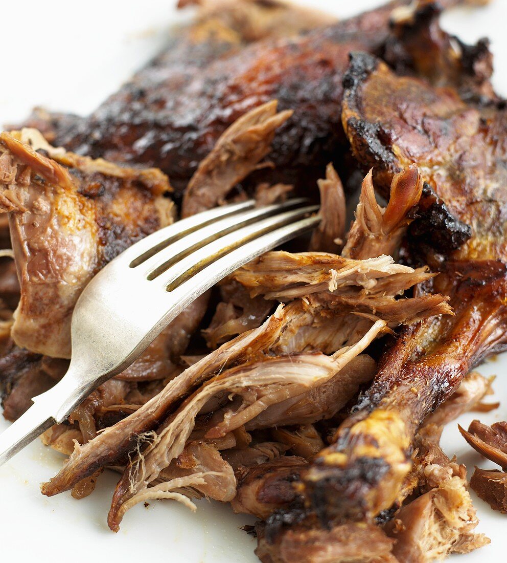 Crispy duck with fork (close-up)