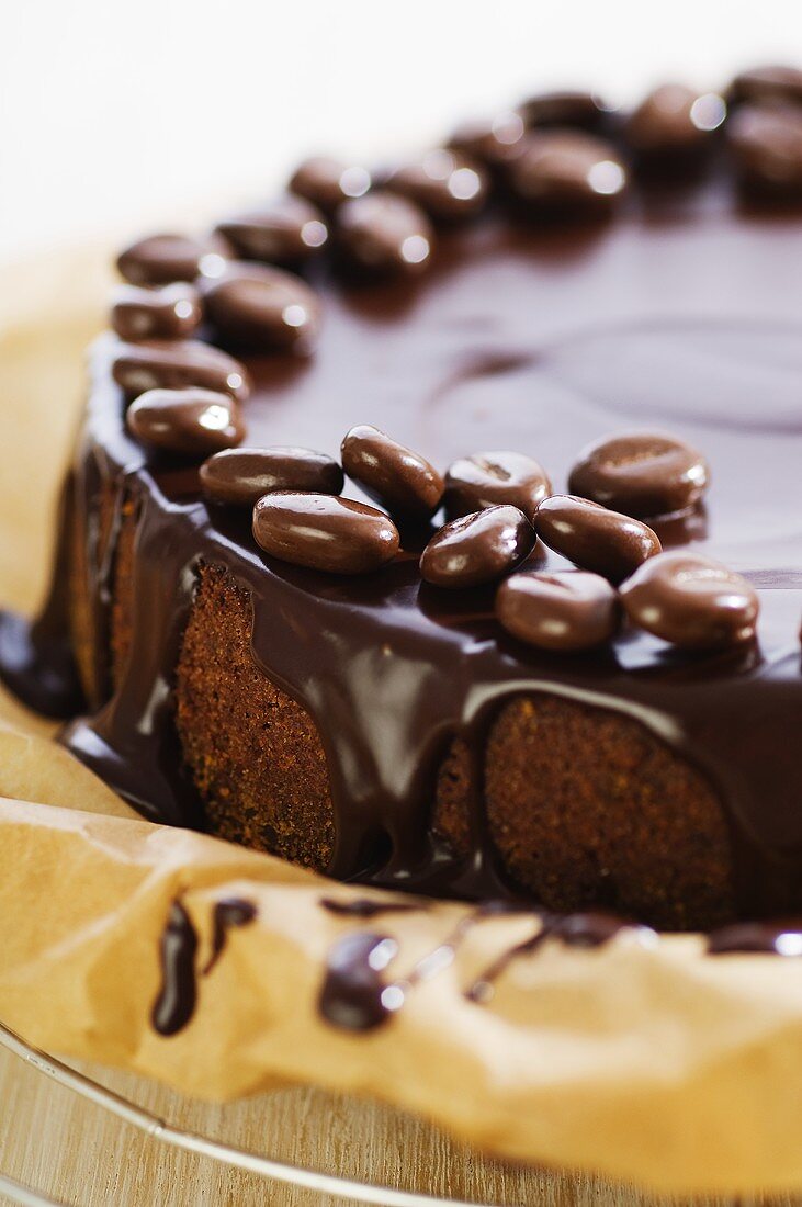Chocolate cake with mocha beans on cake rack