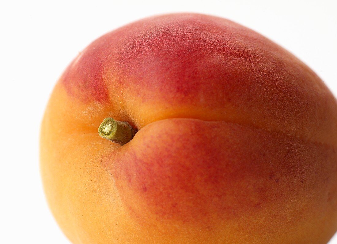 An apricot (close-up)