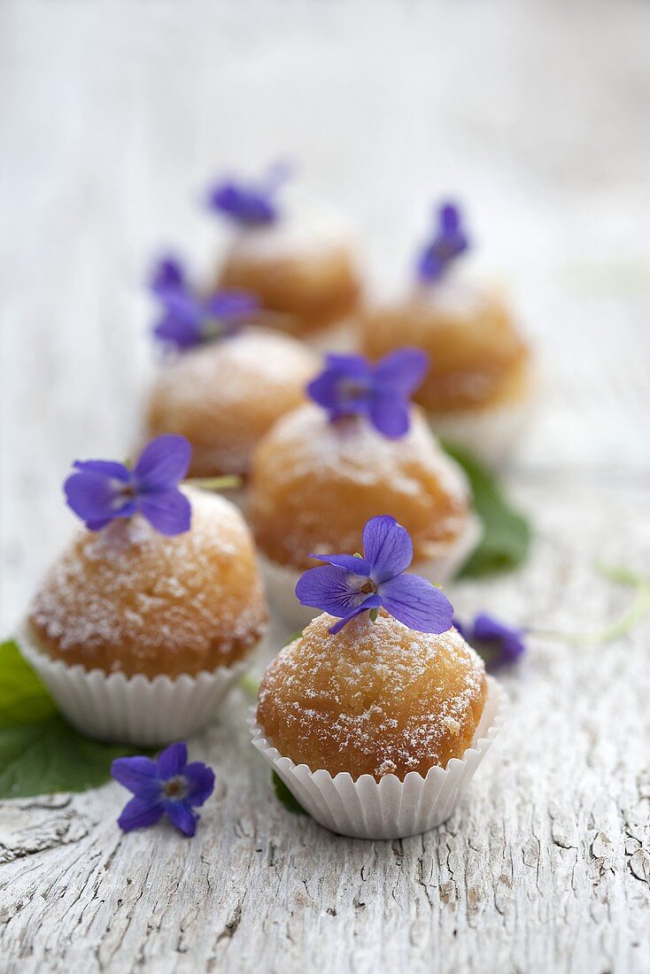 Mini-Muffins mit Veilchenblüten