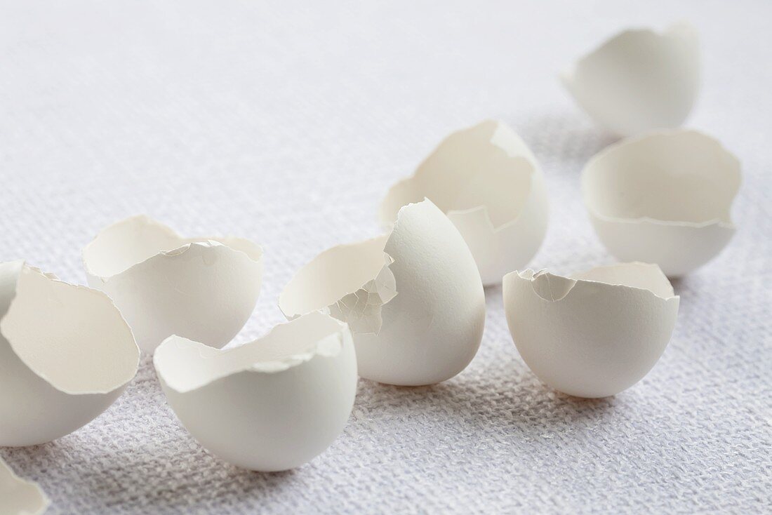 weiße Eierschalen