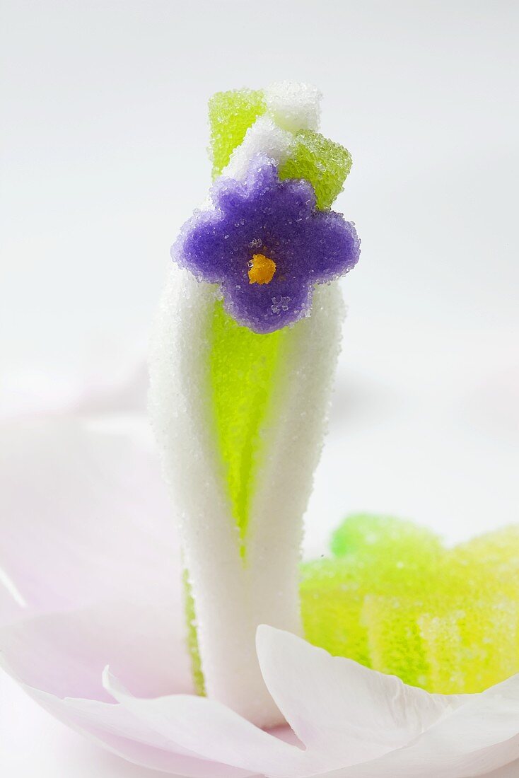 Jelly sweet (flower)