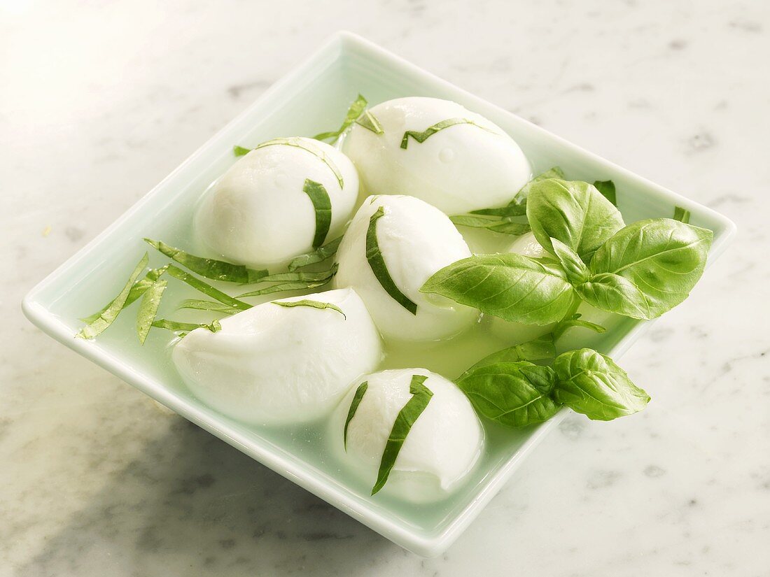 Mozzarella with basil in a dish