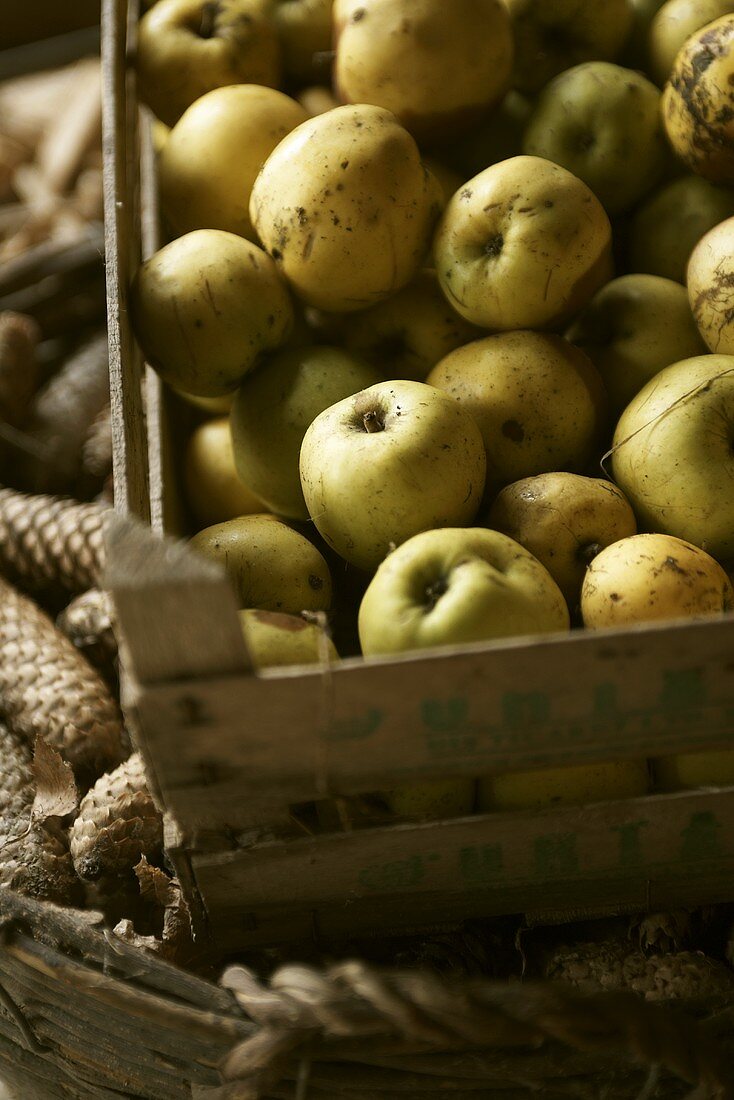 Organic apples in a crate