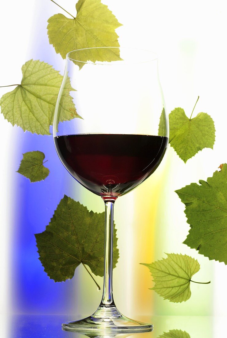 Rotweinglas vor bunten Glasflaschen und Weinblättern