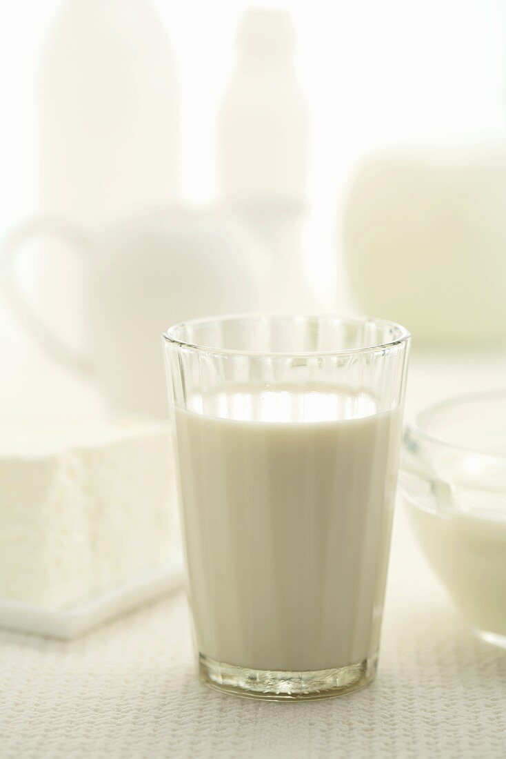 Glass of milk and various dairy products