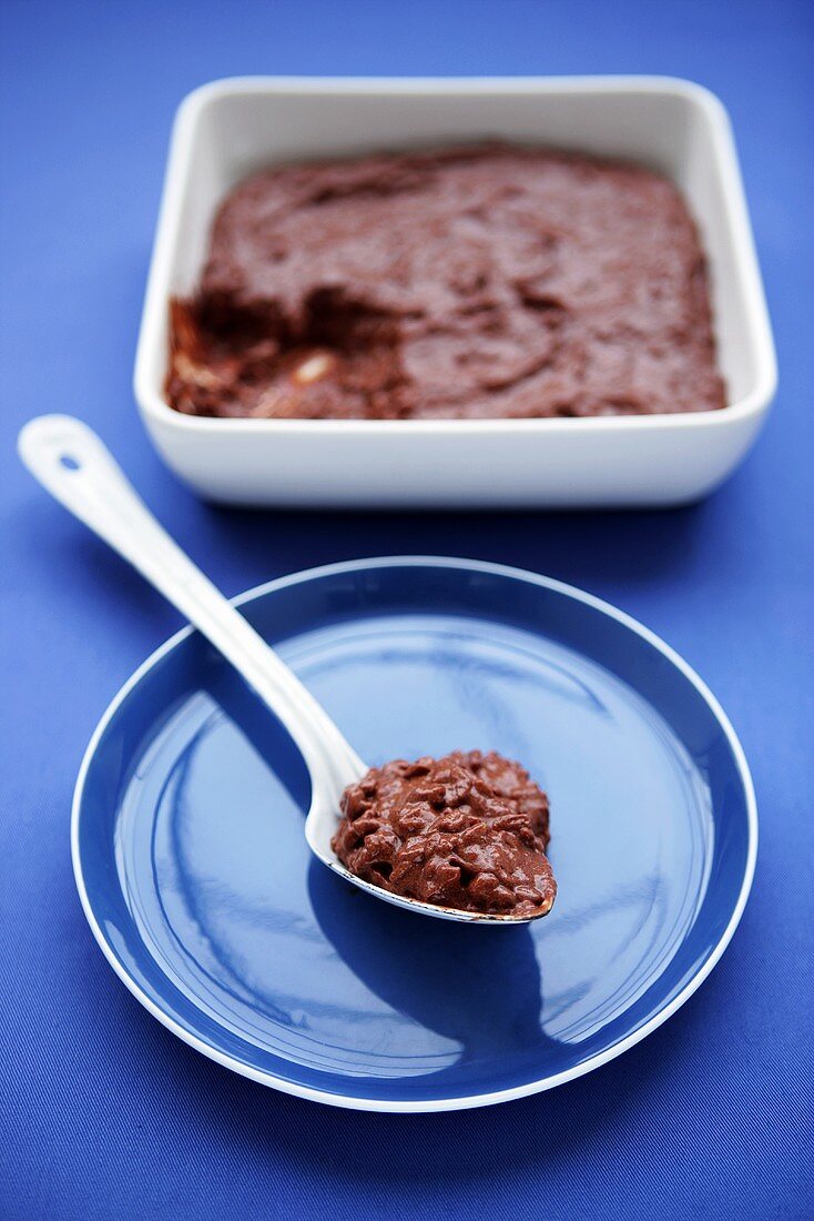 Schokoladen-Reis-Pudding auf Löffel und in Schale