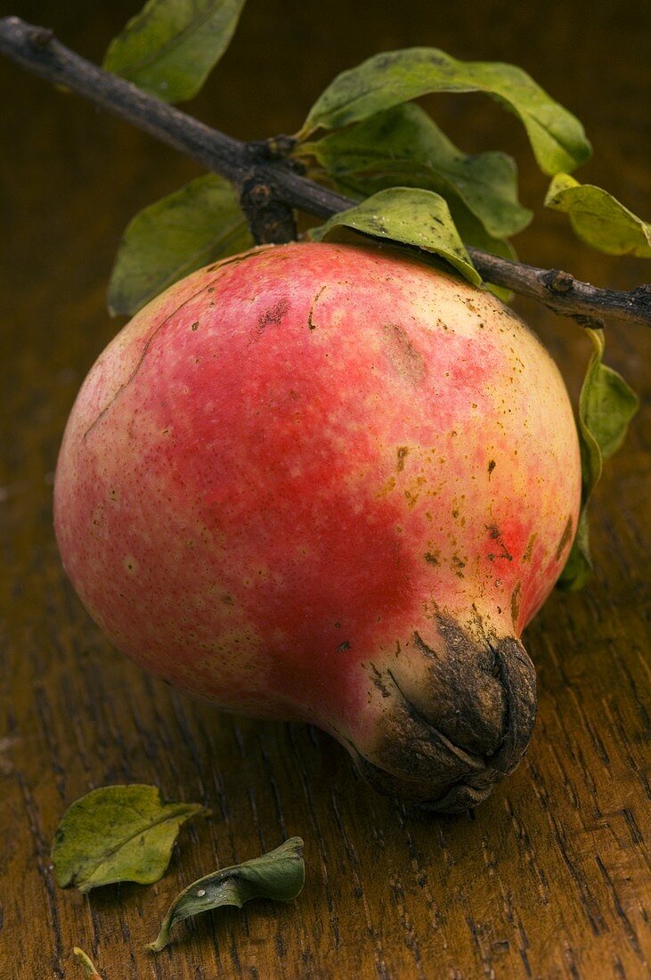 Granatapfel auf Holzuntergrund