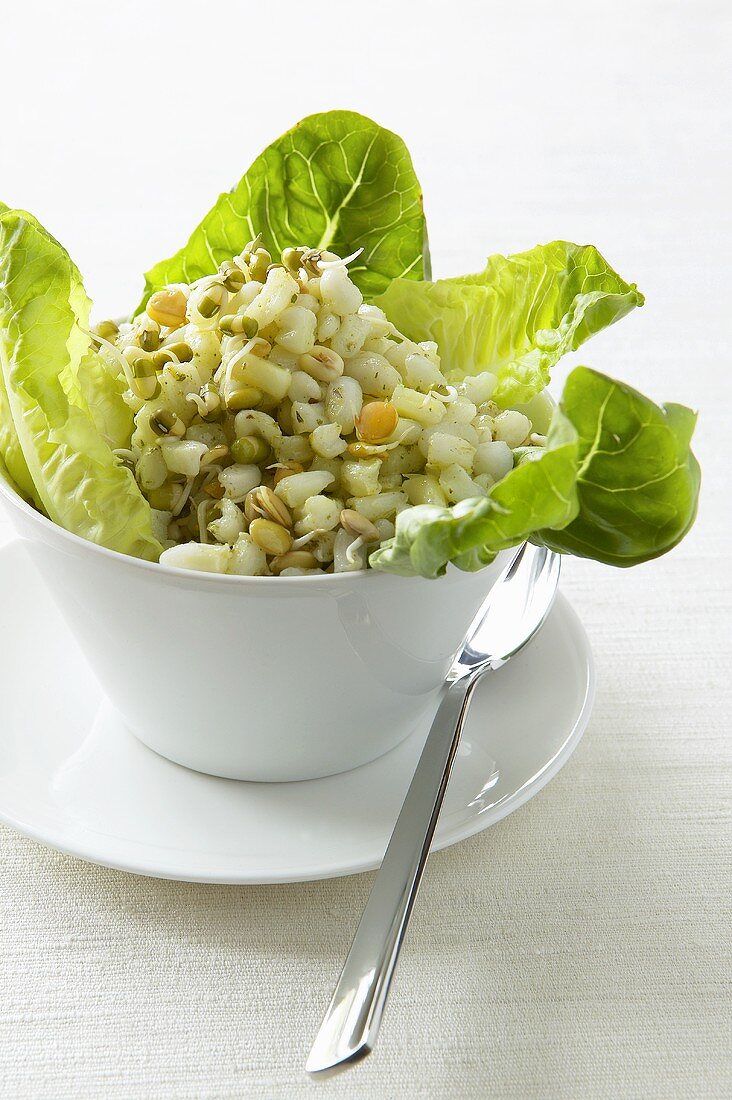 White sweetcorn salad (South Africa)