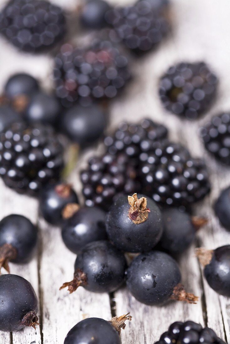 Schwarze Johannisbeeren und Brombeeren