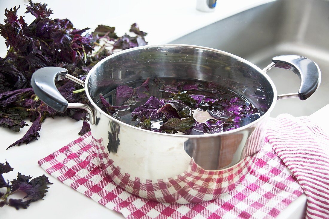 Making red shiso juice (Perilla)