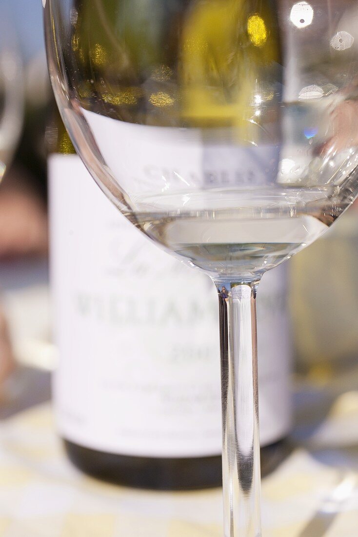 Weinglas, im Hintergrund eine Flasche Weißwein