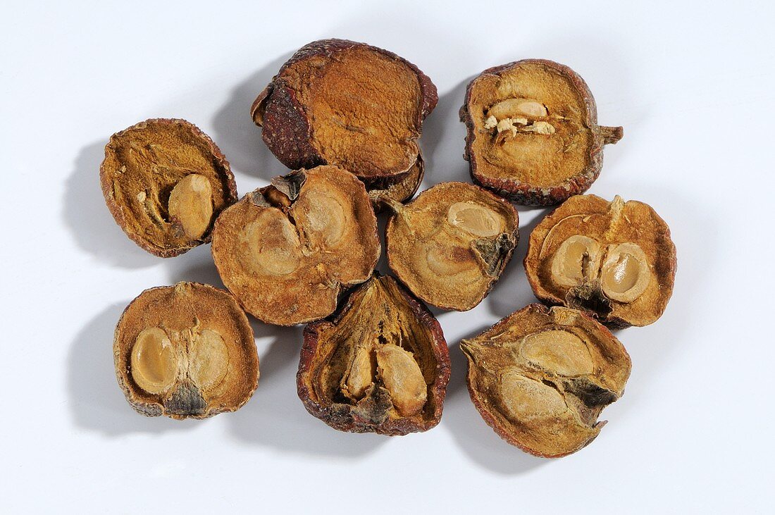 Dried haws (fruit of the hawthorn, overhead view)