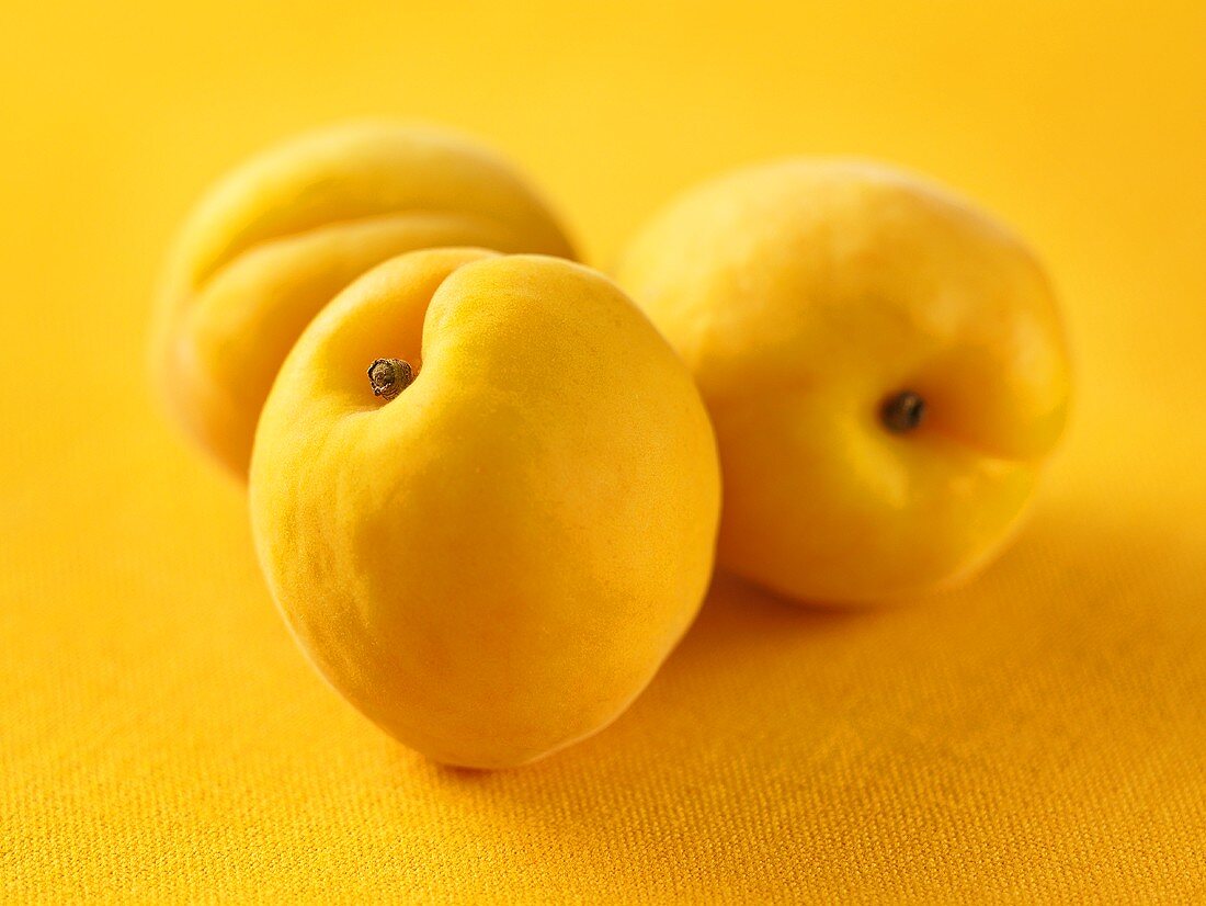 Three apricots on yellow background