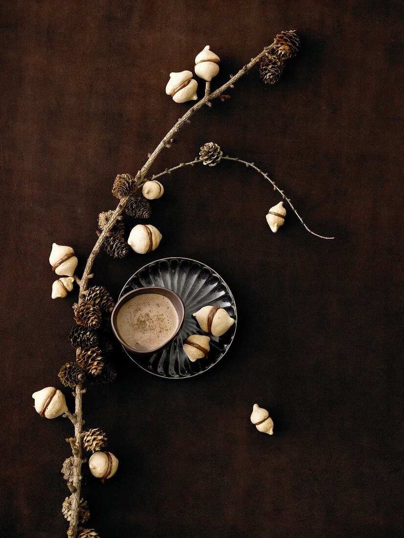 Macarons with mocha cream filling (artistic arrangement with branch)