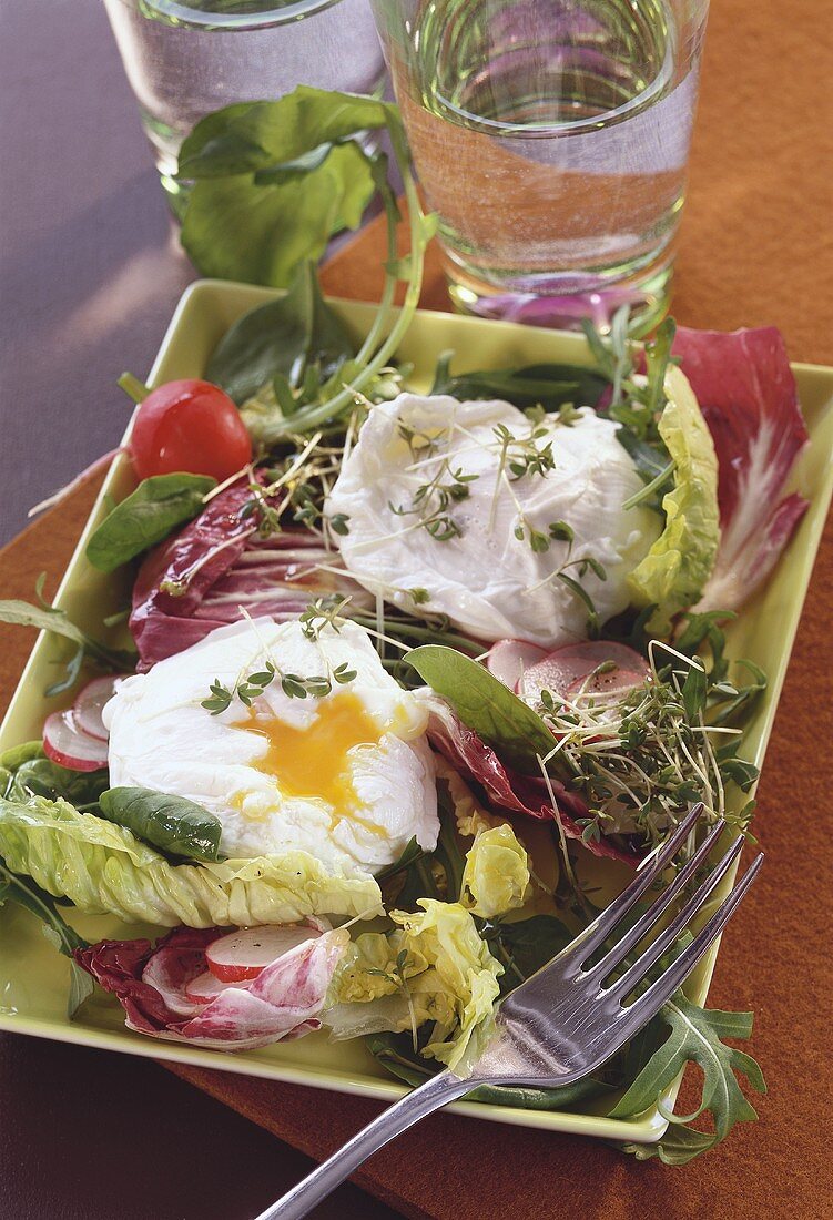 Poached eggs on salad leaves