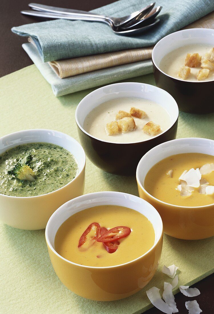 Various creamed vegetables soups