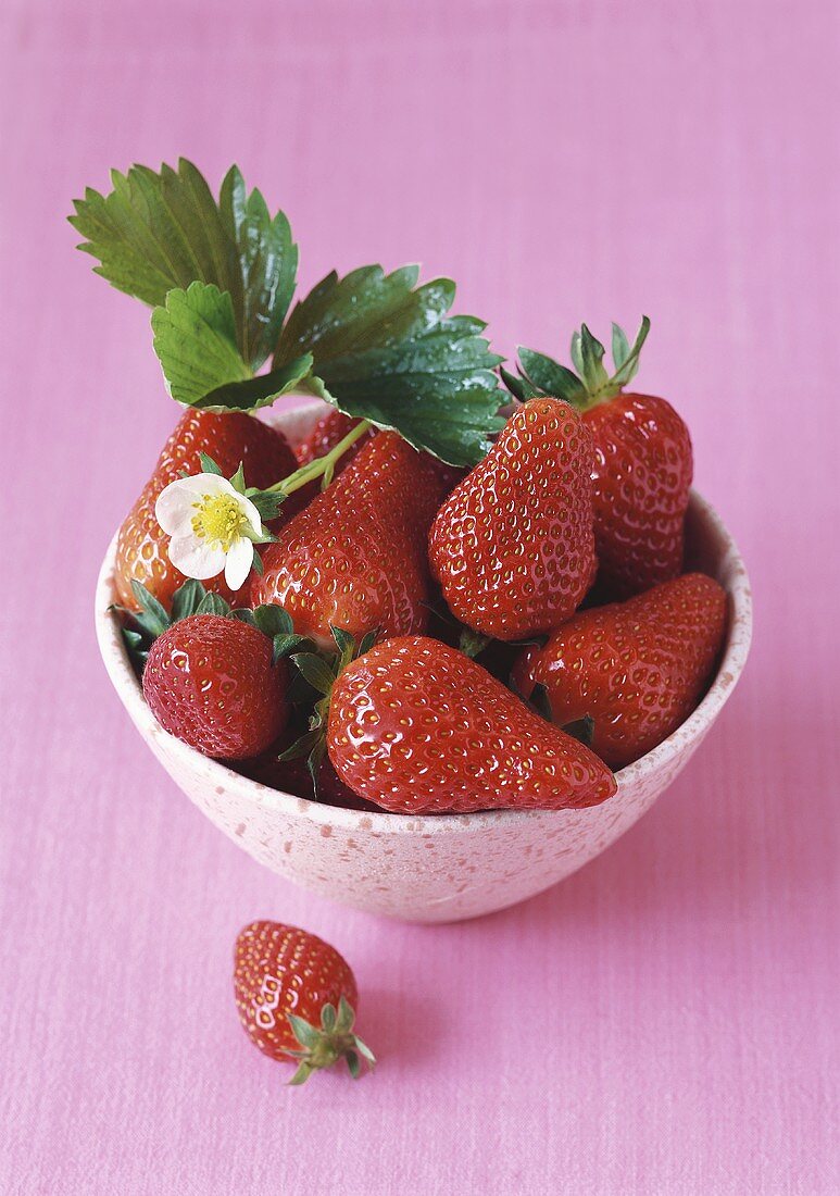 Fresh strawberries with leaves and flower in bowl