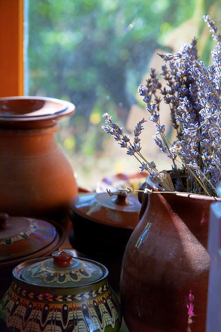 Terracotta containers and lavender by window