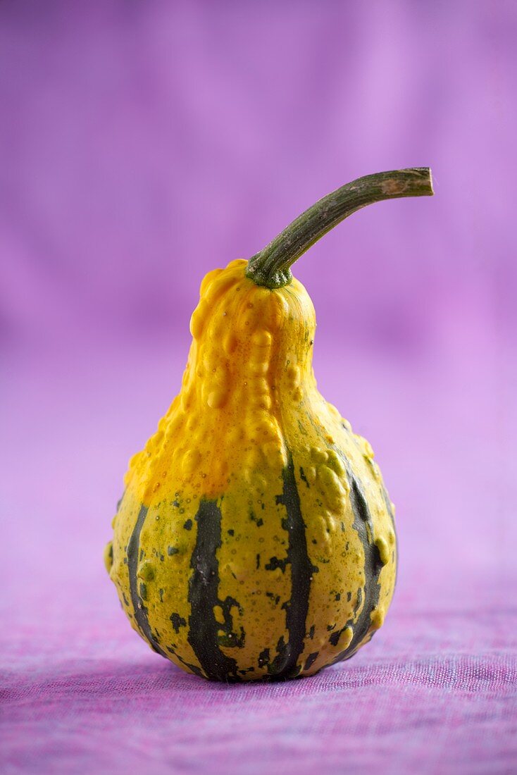 An ornamental gourd