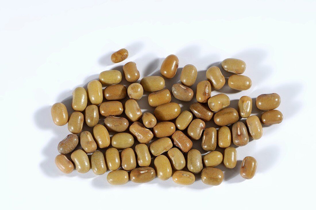 Brown beans (moth beans)