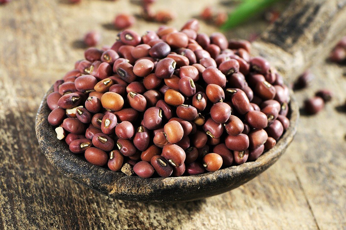 Azuki beans on wooden spoon