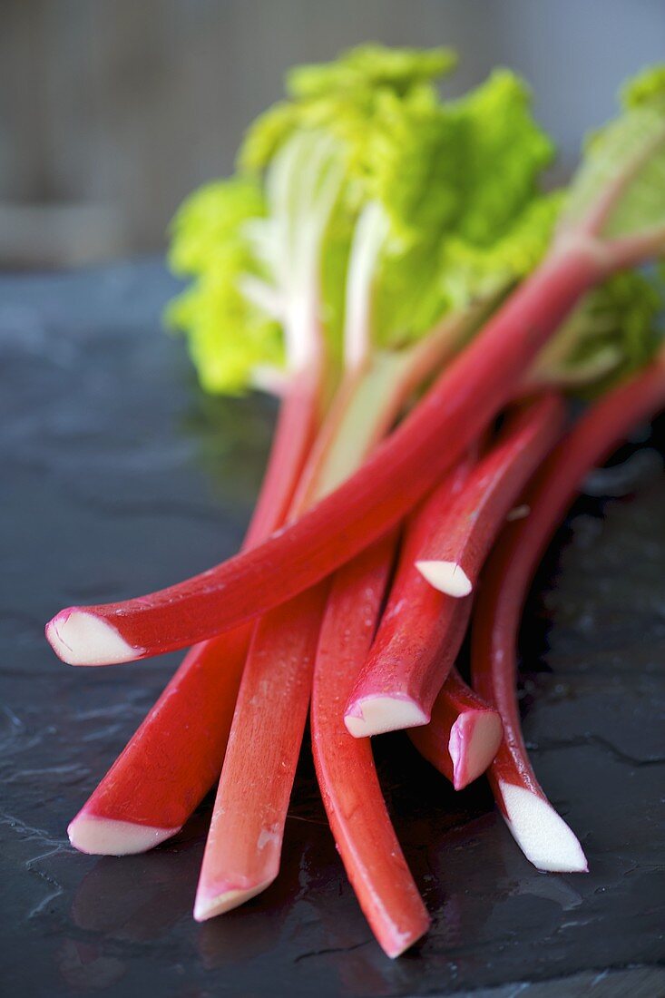 Several sticks of rhubarb