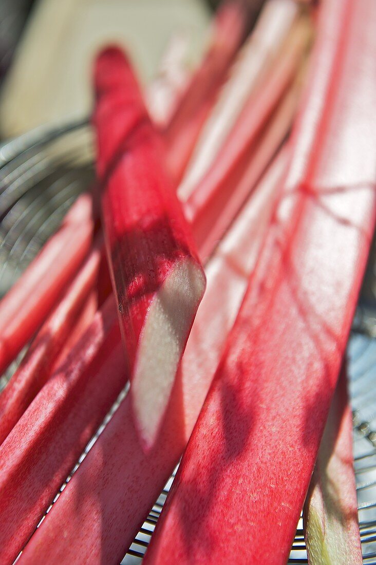 Rhubarb, Close Up