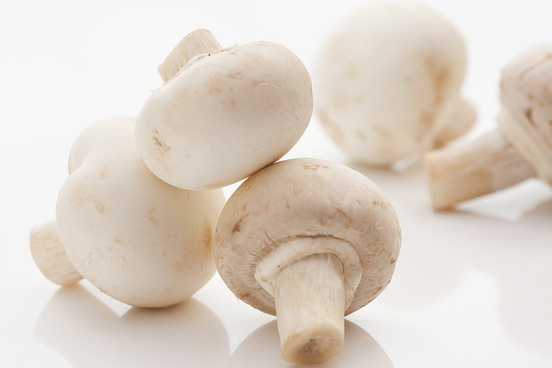 Several button mushrooms