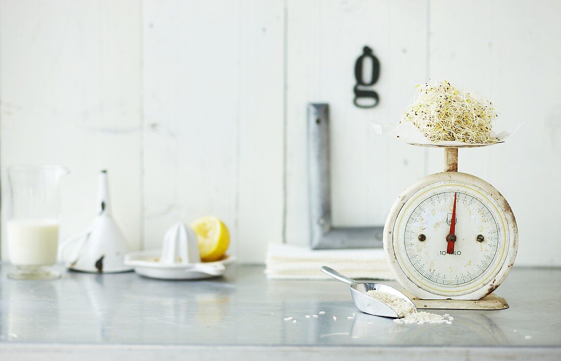 Sprouted seeds on kitchen scales, kitchen utensils in background