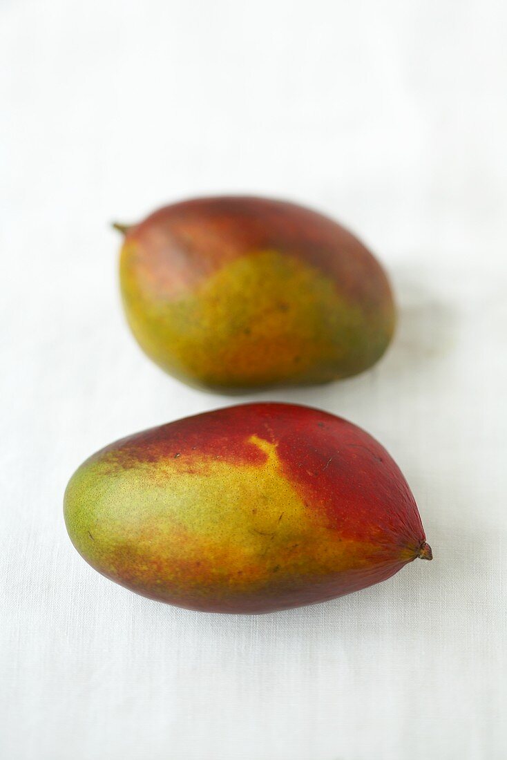 Two Mangos on White