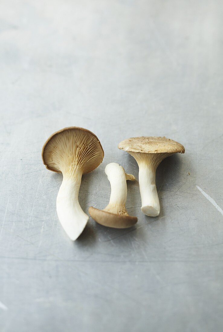 Three king oyster mushrooms
