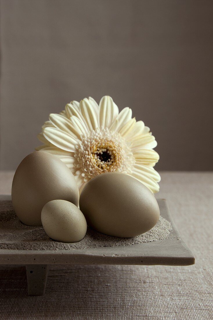 Gerbera and various types of eggs
