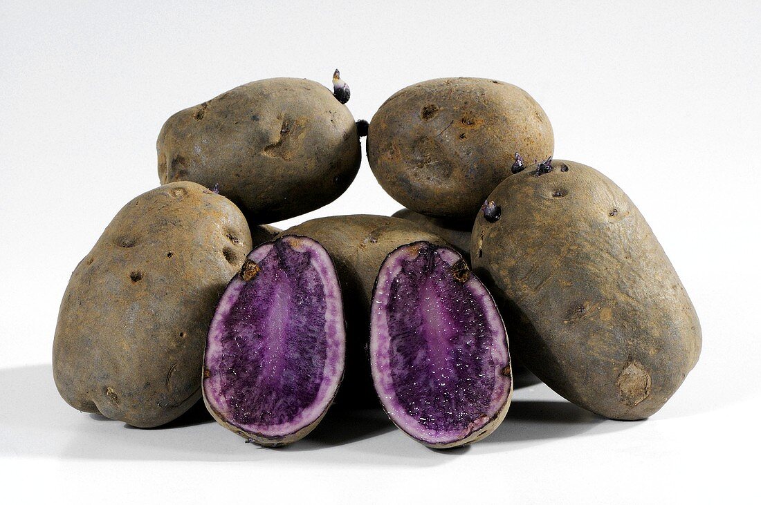 Violette Kartoffeln (Sorte Blue Salad Potato), ganz und halbiert